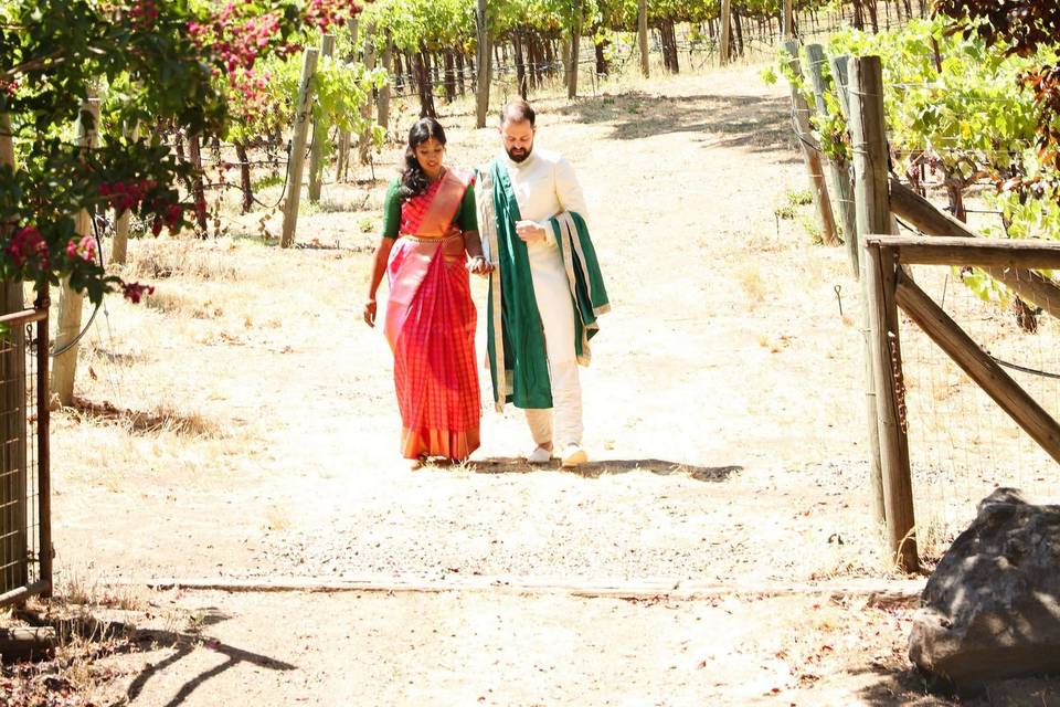 Stroll in the vineyard
