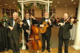 Strolling Strings Associates