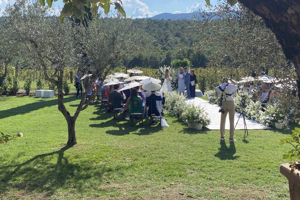 Ceremony in the olive groves