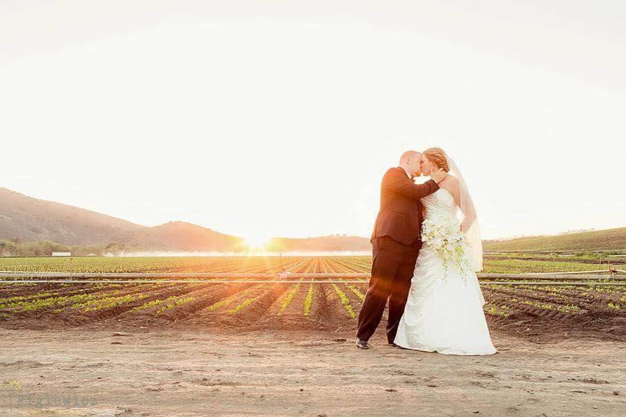 Couple kiss in the field