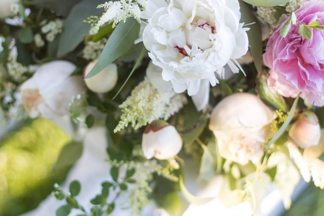 Kitty's Flowers