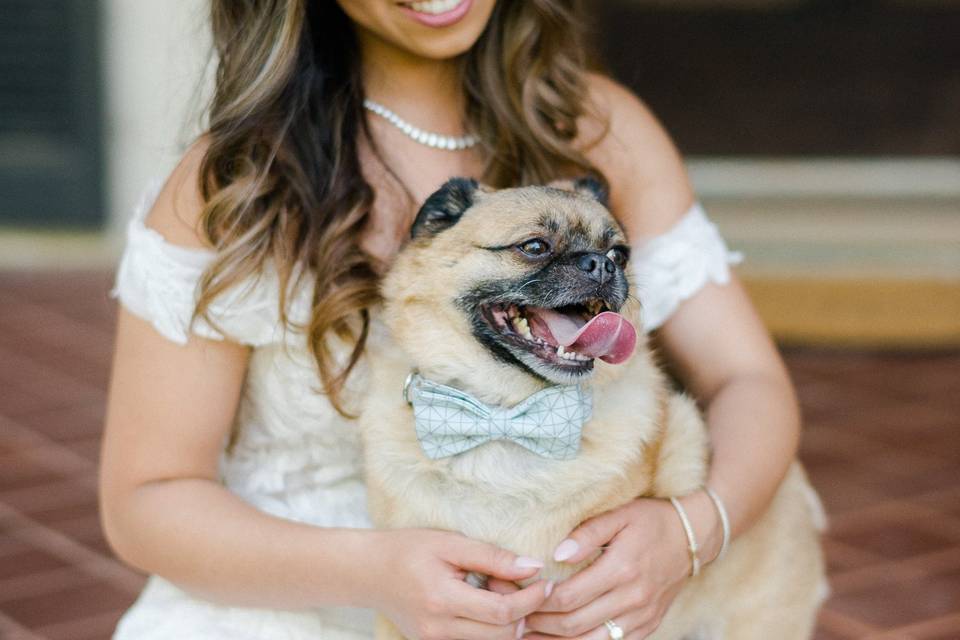 The Ring Bearer