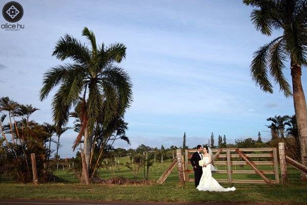 Maui Wedding at Haiku Mill