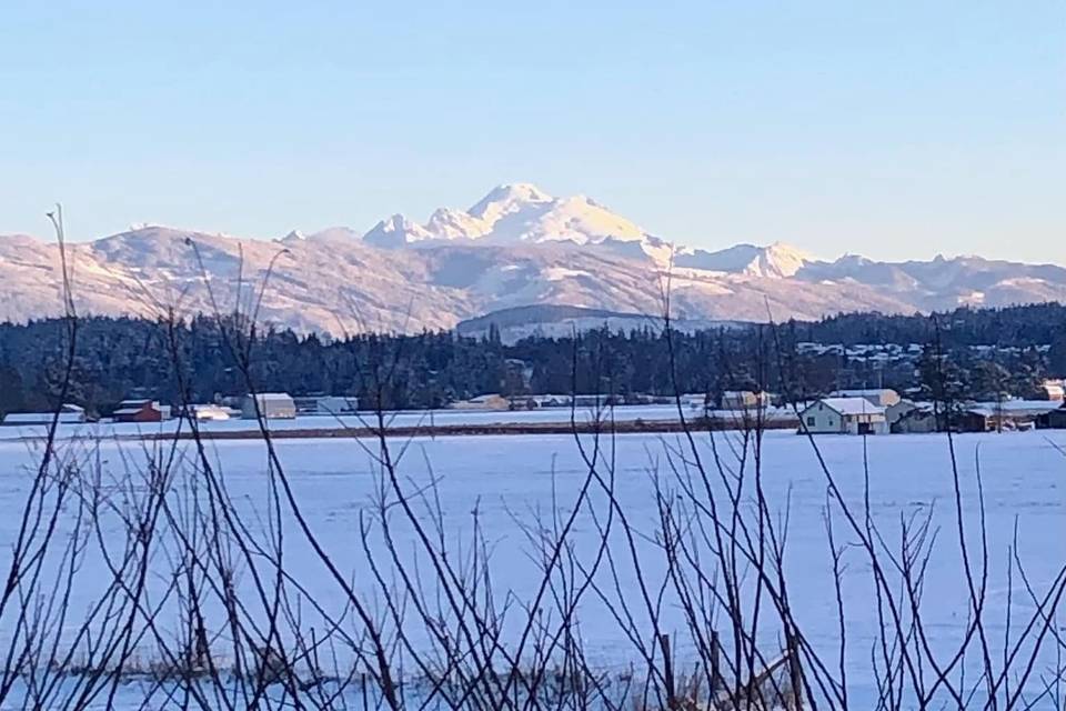 Mount Baker winter view