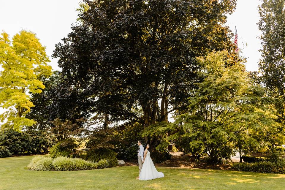 Couple with tree grove