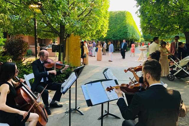String Quartet cocktail Hour