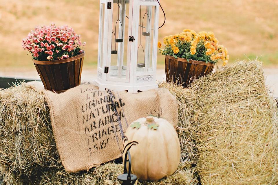 Fall wedding at the farm