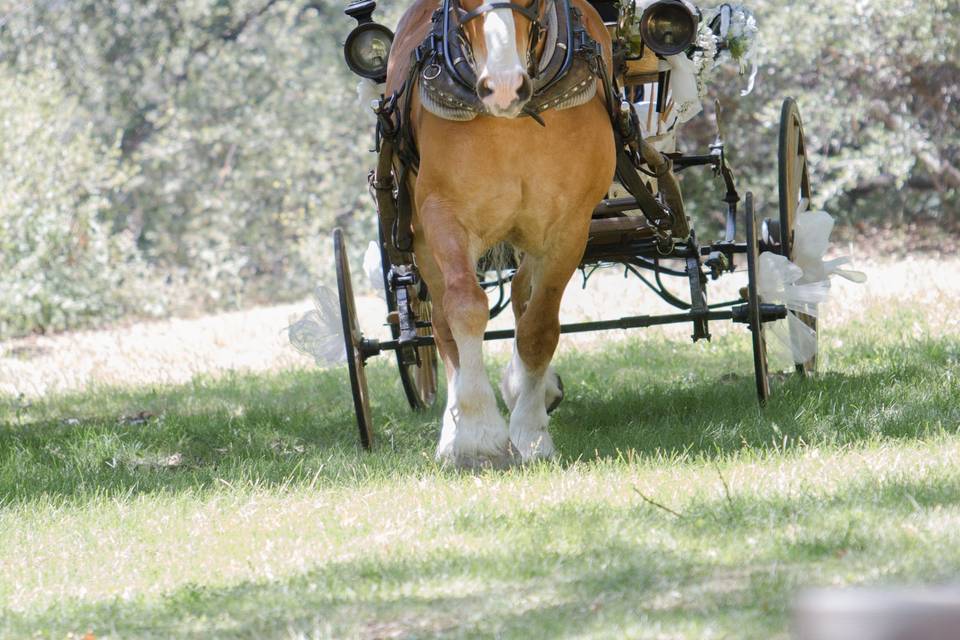 Bridal carriage