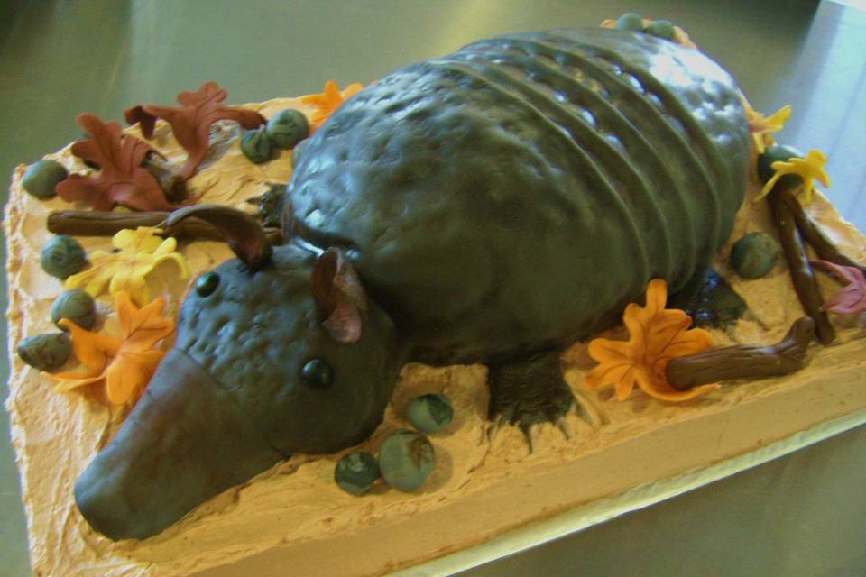 Armadillo Cake!  Red Velvet Cake with Cream Cheese Swiss Buttercream Frosting.This Cake was served at a Dinner Theater, but would be perfect for that outdoorsy Guy.