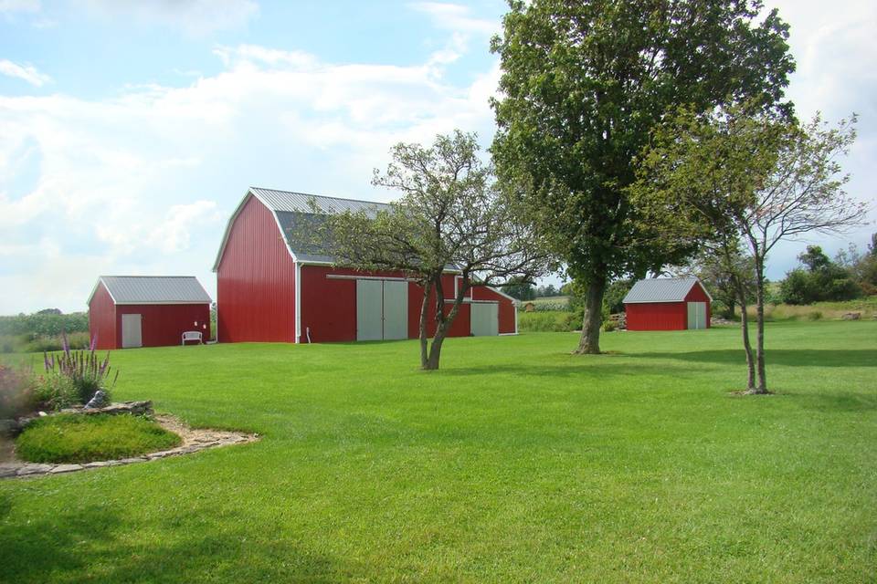 Beautiful Day on the farm