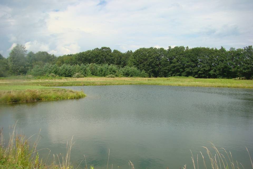 Large pond on the farm
