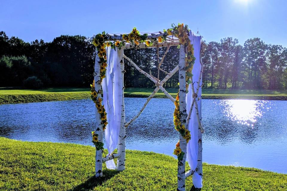 Sunflower Arch