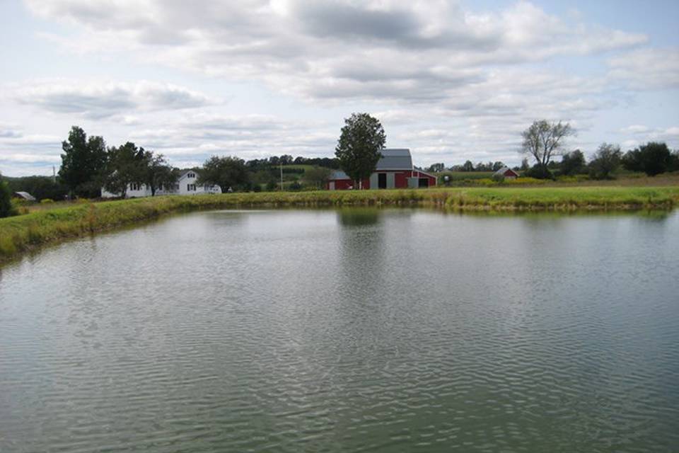 View of Farmhouse and Barns