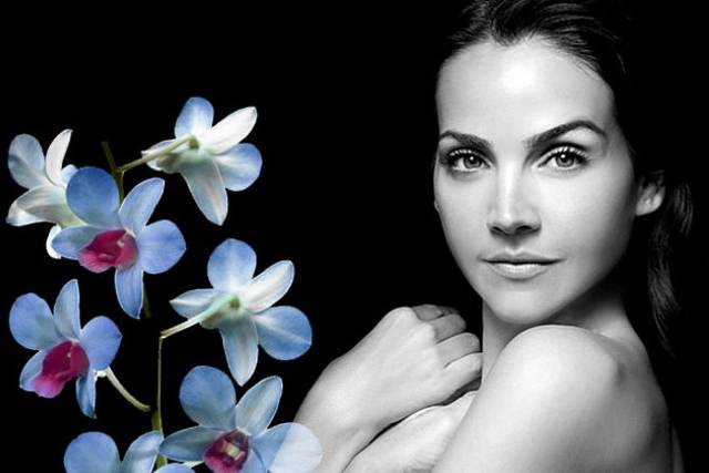 Ageless Splendor Perfect Skin