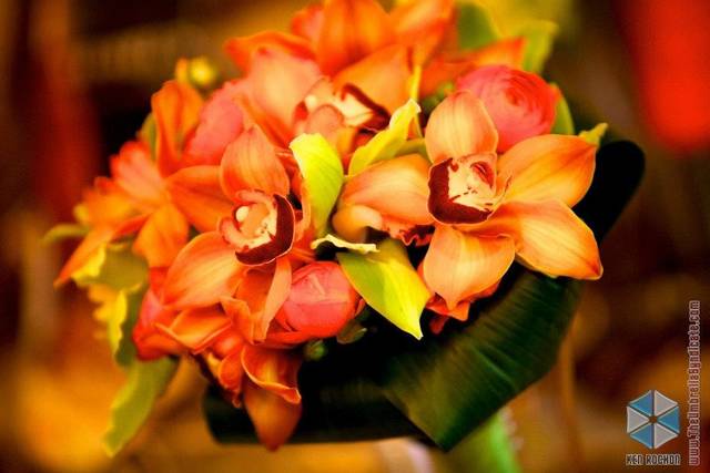 Vibrant color