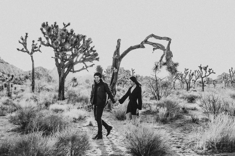 Joshua Tree Engagement Session