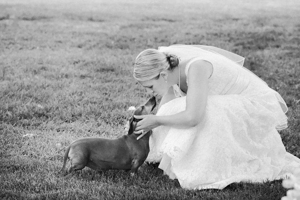 Bride and dog