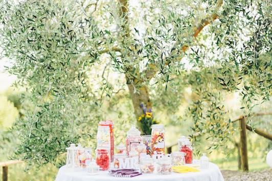 Super Tuscan Wedding Planners