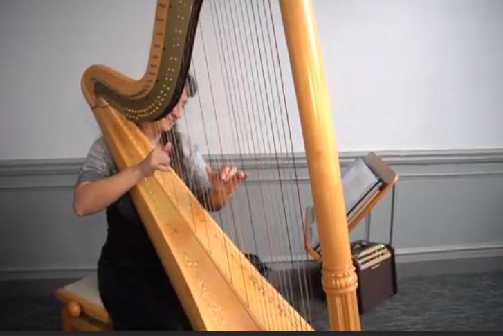 Harpist