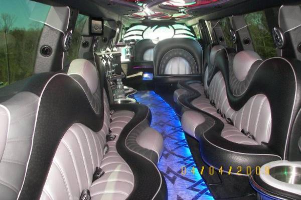 Great Interior with ostrich seats