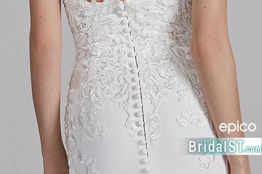 NEW ARRIVAL: Pronovias Epico