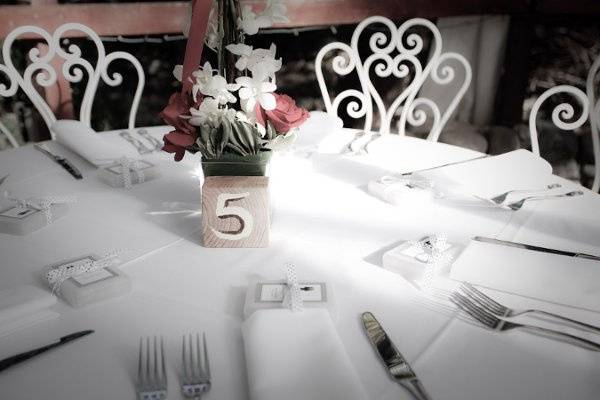 Lexie Cole Photography