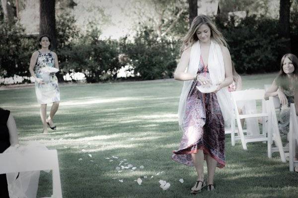 Lexie Cole Photography