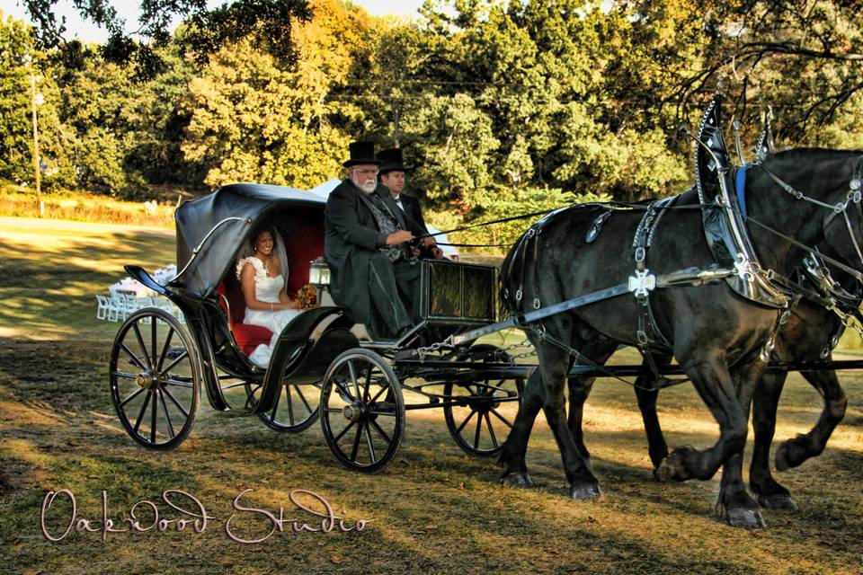Horse Drawn Carriage  . . .  Oakwood Studio, Murray Ky by Ken Andrus