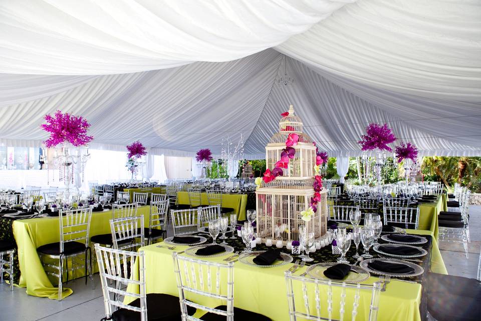 OMGina! Events