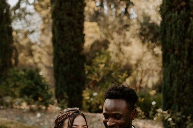 Villa Montalvo editorial