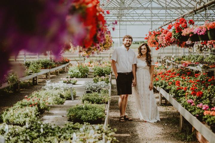 Daynabrook greenhouse