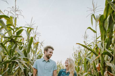 Cornfield engagement