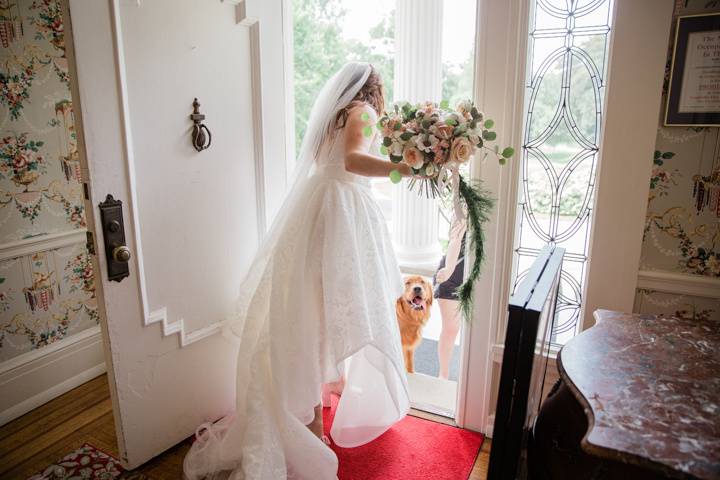 Bride seeing her dogs