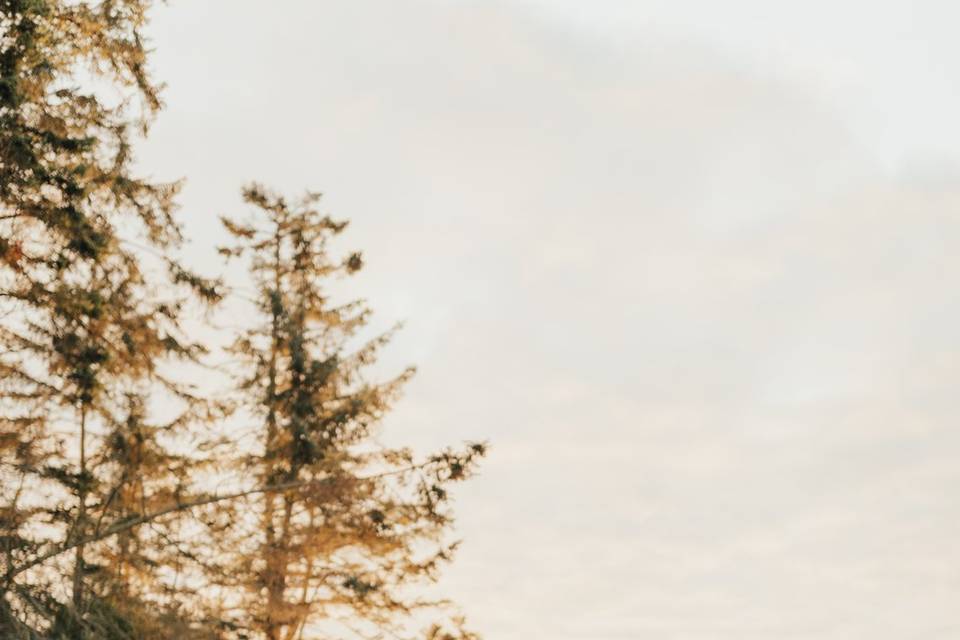 Puget sound engagement shoot