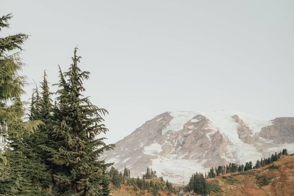 Mt rainier elopement