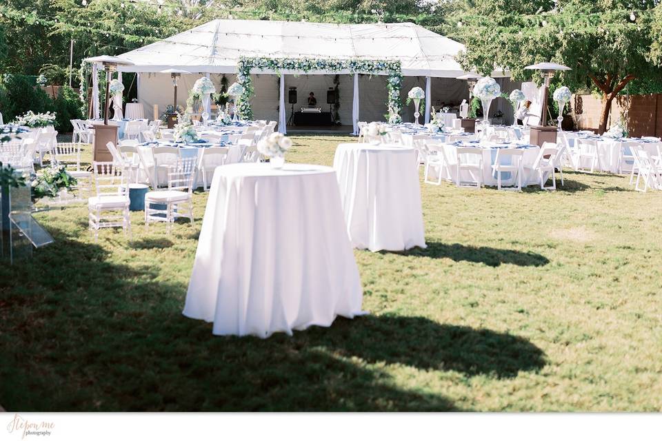 Backyard Reception