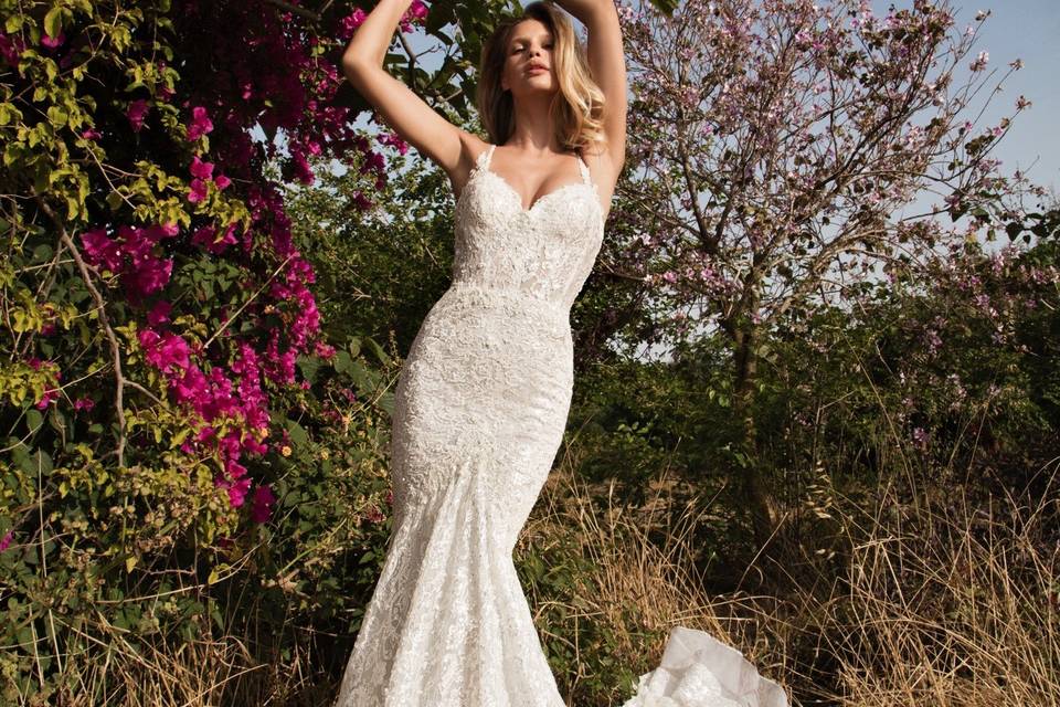 Galia Lahav