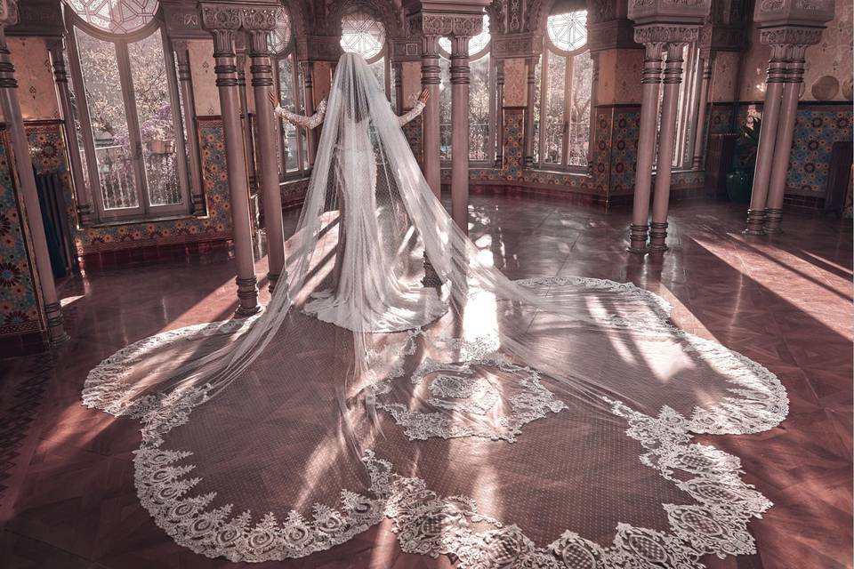 Galia Lahav