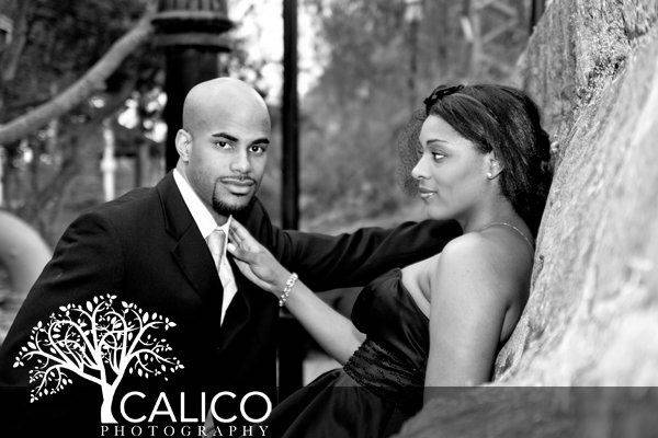 Calico Photography