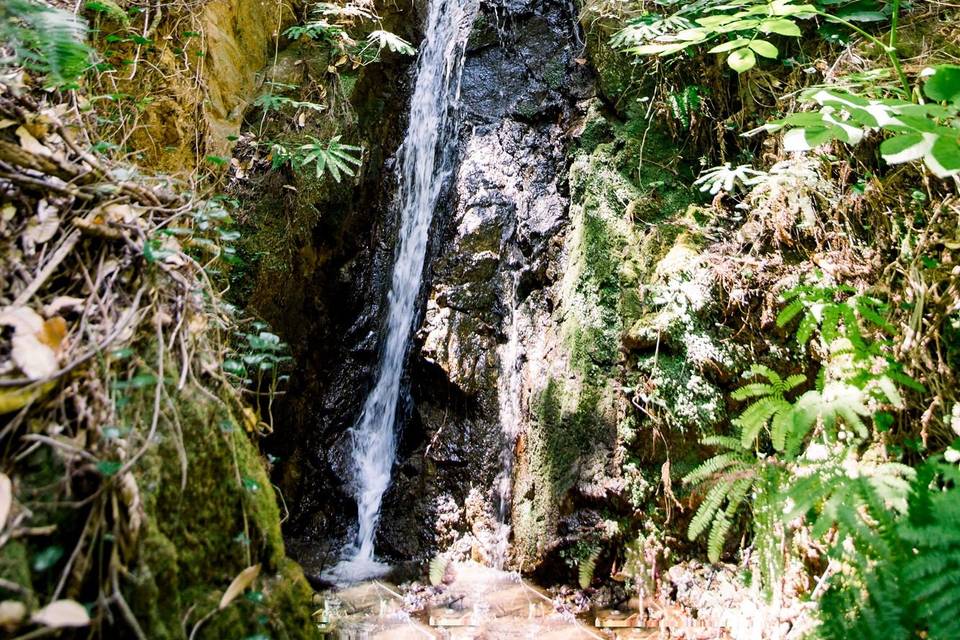 Waterfall Lodge & Retreat