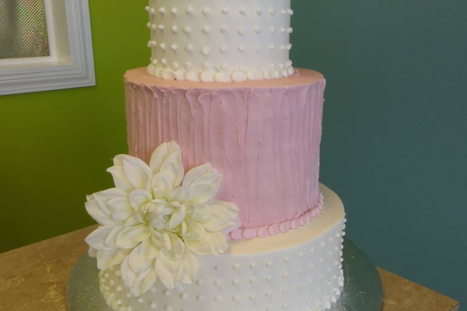 Wedding Cakes by Tammy Allen