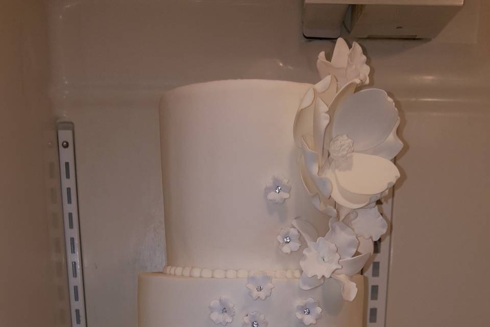 Wedding Cakes by Tammy Allen