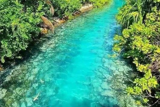 Clear waters