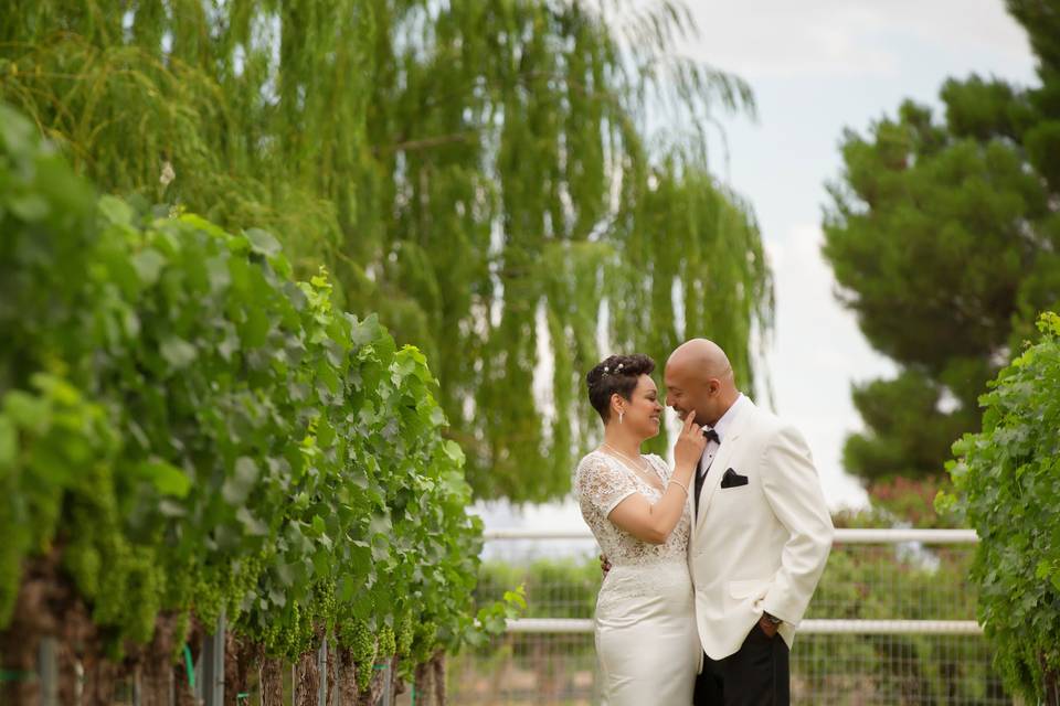 Winery wedding outdoor