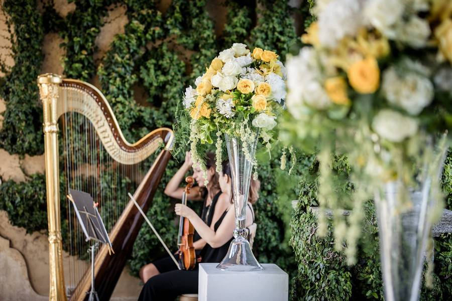 Harp and violin