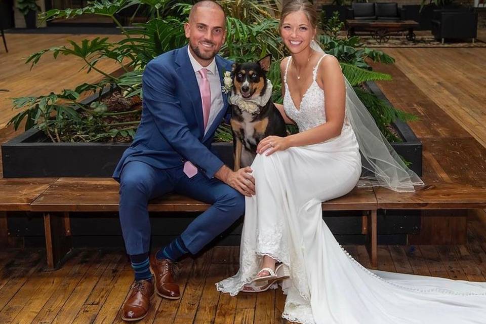Pet Friendly