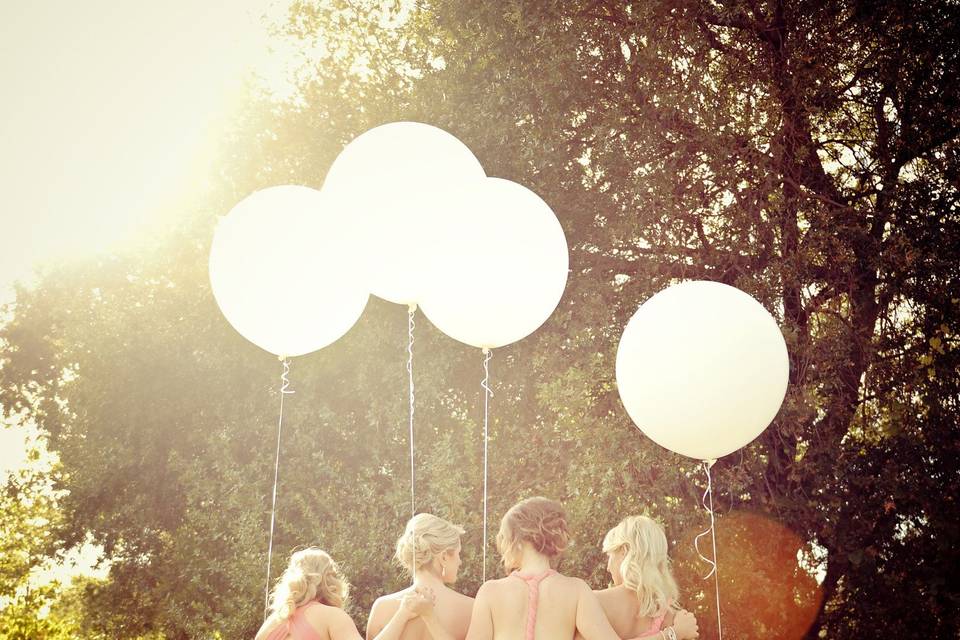 The bride with her bridesmaids