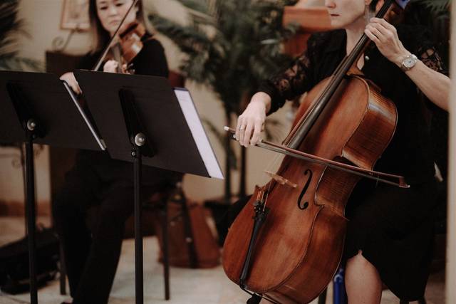 String Duo