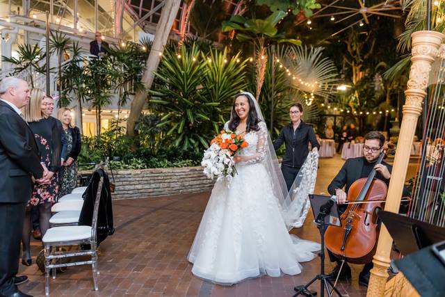 Wedding Ceremony