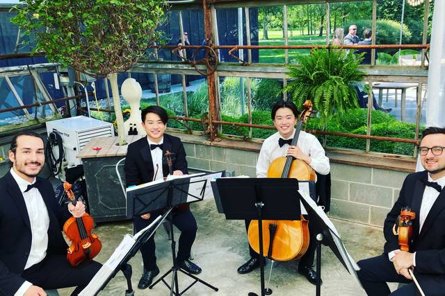 String Quartet